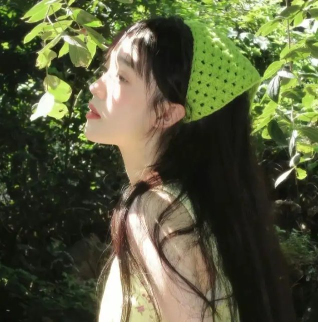追影行动